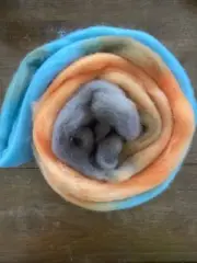 Almost Perfect The Wheel 2 Oz Painted Wool Roving