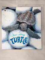 【書寶二手書T2／少年童書_JUZ】ONE TINY TURTLE_NICOLA DAVIES