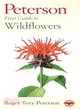 Peterson First Guide to Wildflowers of Northeastern and North-Central North America