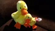 Rare, Retired TY Quackers Beanie Baby and Buddy, With Errors
