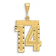 14k Yellow Gold Small Brushed Diamond-cut Number 14 Charm