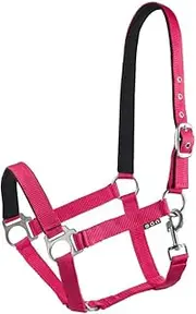Start Economic Lined Headcollar for Horses Thoroughbred, Pony - Stable Halter with Two-Level Adjustment - Chin and Headpiece - Pasture Headcollar Warmblood Neoprene Lined (Raspberry, Pony)