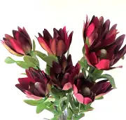Australian Native Flower Silk Leucadendron Flowers Burgundy Red Artificial Stem