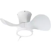 ocioc Ceiling Fans with Lights and Remote, 22 inch Ceiling Fans with Reversib...