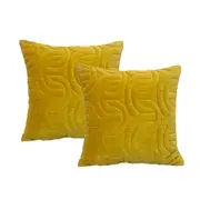 2pc Cloud Linen Roma Cotton Velvet/Feather 50cm Embroidered Cushion Square Gold