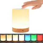 Night Light Touch Lamp for Bedrooms Living Room Portable Table Bedside Lamps wi