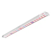 Lucius Production LED Bar Clone Enhancer 80w