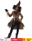 Hay Grrl Scarecrow Girls Halloween Horror Wizard of OZ Book Week Costume