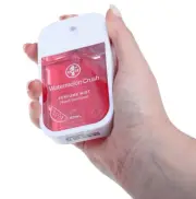 Pocket Hand Sanitizer Spray Perfume Mist 40ml Antibacterial 4 x Assorted Scents