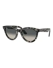 [Ray-Ban] Wayfarer Way Sunglasses in Grey