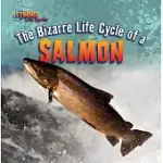 THE BIZARRE LIFE CYCLE OF A SALMON
