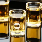 Custom Engraved Brighton & Hove Albion Shot Glass – 2.2 oz Capacity NEW