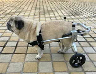 狗輪椅寵物輪椅殘疾狗代步車癱瘓狗車寵物后肢代步輪椅狗推車支架