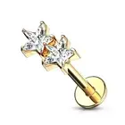 Piercing Labret Ear Stars Binoculars Gold Plated