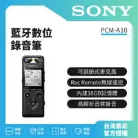 在飛比找蝦皮購物優惠-SONY 藍牙數位錄音筆 PCM-A10 16GB（原廠公司