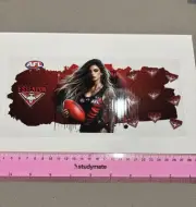 UV DTF Wrap Essendon