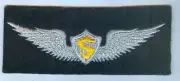 US ARMY AVIATION "SOLO WINGS" with #S .... UNCUT BACKGROUND MATERIAL
