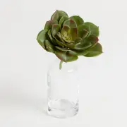 Artificial Succulent Rosette Pick [ASPLSUCCU15B_ROS]