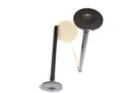 Exhaust Valve For 99-02 Daewoo Lanos 1.6L 4 Cyl VIN: 6 Ecotec 16-Valve QX34S7 (for: Daewoo)
