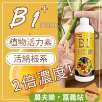 在飛比找蝦皮購物優惠-【現貨】植物活力素 b1 開根 開根劑 開根素 生根 生根水