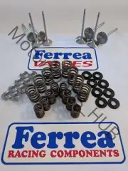 Ferrea Intake & Exhaust Valves, Ferrea Spring Kit Polaris RZR XP900 XP 900 +.5