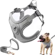 Dog Harness Set, No Pull Adjustable Step-in Collar for Dogs (M, Gray)