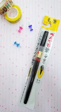 在飛比找Yahoo!奇摩拍賣優惠-飛龍 百點 Pentel 卡式中楷毛筆XFL2L 墨筆 好好