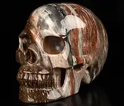 Skullis 5.0" African Petrified Wood Crystal Skull, Hand Carved Gemstone Fine Art Sculpture, Reiki Healing Stone Statue.2865