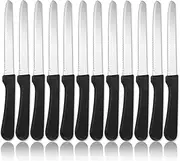 ReaNea Steak Knives Set of 12, Stainless Steel Steak Knife Set, Serrated Steak Knives, Gifts for Home, Restaurant, Parties, Wedding, Camping, Outdoor