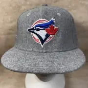 Toronto Blue Jays 25th Anniversary Shadow Tech Gray New Era Fitted 7 1/4 Hat