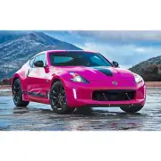Racing Purple Rear Diffuser Rod Strut Bumper Tie Bar For Honda Toyota Tesla Ford (for: Toyota)