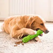 Spring savings Clearance under $10 FAMTKT Pet Dog Chew Toys Aggressive Chewer Tr