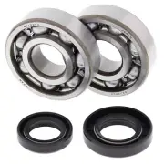 All Balls Crank Bearing & Seal Kit For 1998 Yamaha YZ250 24-1028