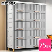 在飛比找momo購物網優惠-【Mr.Box】75大面寬-雙排條紋5層10抽收納櫃(兩色可