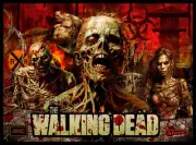 The Walking Dead Pinball AltTrans HIGHEST QUALITY RESOLUTION! (3 Options)