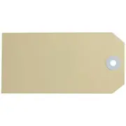 Avery Buff Shipping Tags Size 5 120 x 60mm1000 Box