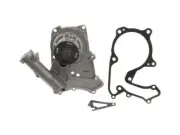 Water Pump For 2007-2010 Hyundai Entourage 3.8L V6 2008 2009 GR218VG (for: Hyundai)