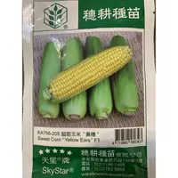 在飛比找蝦皮購物優惠-愛上種子 超甜玉米 （黃穗）Sweet corn 每包30公