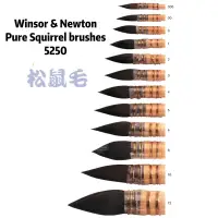 在飛比找蝦皮購物優惠-限量發售 Winsor&Newton Pure Squirr