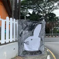 在飛比找蝦皮購物優惠-瑞典畫家黑白兔子抽象可愛水粉畫插畫設計創意毛毯速賣通亞馬遜-