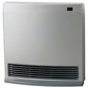 Rinnai Dynamo 15 ConvectorNG DY15SN