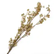 Factory Direct Craft Group of 6 Artificial Cream Wildflower Stems for Home