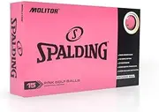 Spalding Molitor 15 Ball Pack