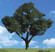 Woodland Scenics TR3547 N/HO Cool Shade Tree 3/4" - 1 1/4" Scenery Greenery