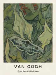 Vincent Van Gogh unframed Art Print Great Peacock Moth, 1889