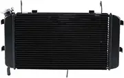 Engine Radiator Fit for Suzuki GSXS750 GSXS750Z 2018-2023 Motorcycle Radiator Water Cooler Cooling Radiator Grille