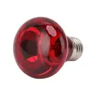 AU Reptile Heat Lamp Bulb Multifunctional E27 Interface Spot Light Bulb F 4080