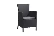 Iowa DC Chair Graphite
