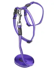 Rogz Alleycat Harness & Lead Set Purple Sml