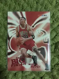 在飛比找Yahoo!奇摩拍賣優惠-【美】Scottie Pippen 皮朋 1996 hoop